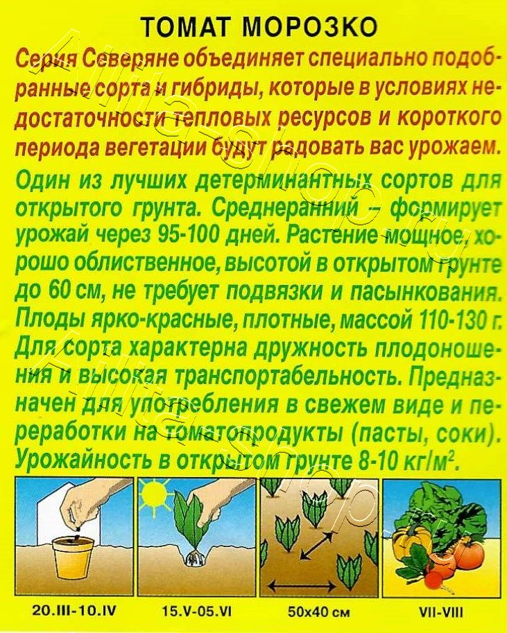 Семена Томат Морозко